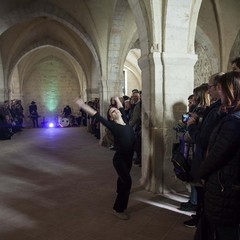 Anteprima d Archivio