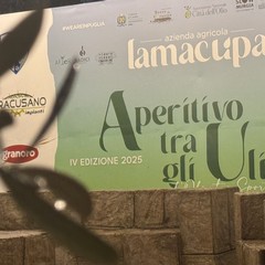 Aperitivo tra gli ulivi