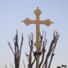 Arrivo a Barletta della sacra icona della Madonna dello Sterpeto
