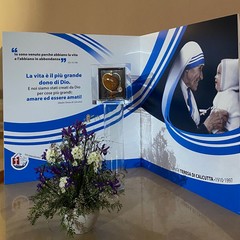 A Barletta la reliquia del sangue di Madre Teresa di Calcutta