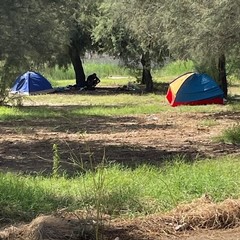 Accampamenti di fortuna lungo la litoranea di Ponente