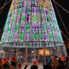 Si accende il Natale di Barletta con l'albero in Piazza Aldo Moro