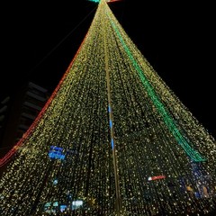 Luci di Natale a Barletta