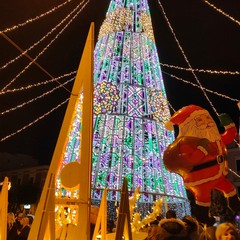 Si accende il Natale di Barletta con l'albero in Piazza Aldo Moro