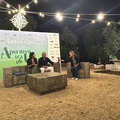 Aperitivo tra gli ulivi