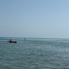Baech Sprint Barletta