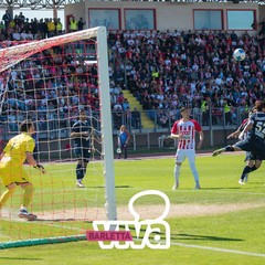 Festa biancorossa, Barletta sorride per la sua serie C