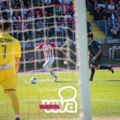 Festa biancorossa, Barletta sorride per la sua serie C