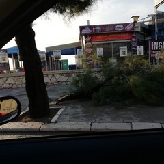 Bomba dacqua a Barletta