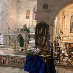 Cammino di Santiago