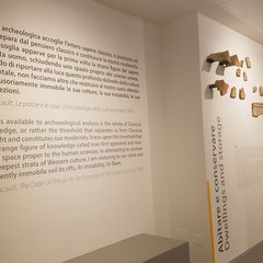 Canne della Battaglia, l'antiquarium torna a nuova vita