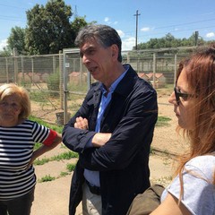 Speciale elezioni amministrative 2018, Mino Cannito: passione e impegno per Barletta