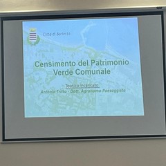 Censimento del patrimonio verde di Barletta: presentati alla cittadinanza i risultati