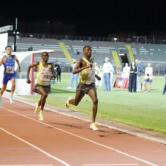 Emozioni e adrenalina al "Puttilli" per il XV Certame Atletico Disfida di Barletta