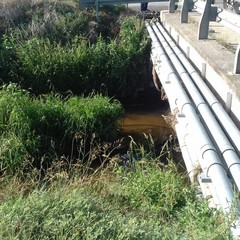 Effettuati gli interventi presso il canale Ciappetta Camaggio a Barletta