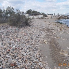 Rimozione rifiuti sulla costa di Barletta