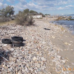 Rimozione rifiuti sulla costa di Barletta