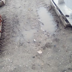 Piove fango nel cimitero di Barletta, Rivoluzione Cristiana denuncia