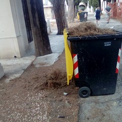 Cimitero di Barletta, buche pericolose ed erbacce
