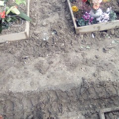 Piove fango nel cimitero di Barletta, Rivoluzione Cristiana denuncia