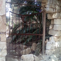 Cimitero di Barletta, buche pericolose ed erbacce