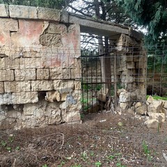 A rischio il Cimitero dei Greci di Barletta