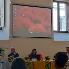 Città più verdi 2025, un convegno a Palazzo San Domenico