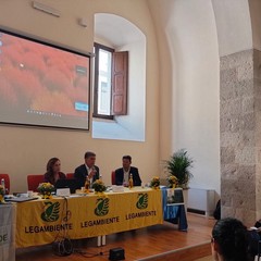 Città più verdi 2025, un convegno a Palazzo San Domenico