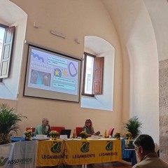 Città più verdi 2025, un convegno a Palazzo San Domenico