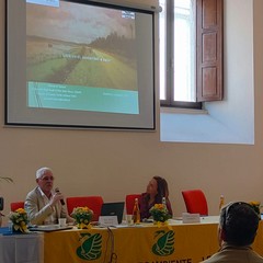 Città più verdi 2025, un convegno a Palazzo San Domenico