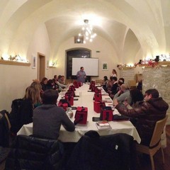 Onav: wine, passion & skill