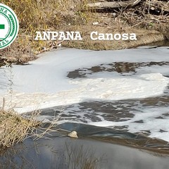 Disastro ambientale fiume Ofanto