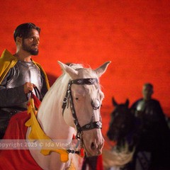 Disfida di Barletta 2025, il Corteo Trionfale: la galleria fotografica di Ida Vinella