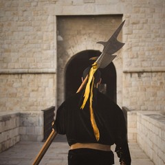 Disfida di Barletta 2025, il Corteo Trionfale: la galleria fotografica di Ida Vinella