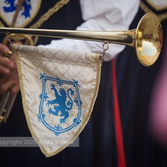 Disfida di Barletta 2025, il Corteo Trionfale: la galleria fotografica di Ida Vinella