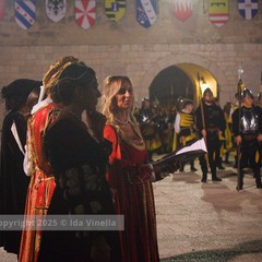 Disfida di Barletta 2025, il Corteo Trionfale: la galleria fotografica di Ida Vinella