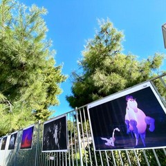 Disfida di Barletta e Fiof, un legame ribadito anche nel 2020