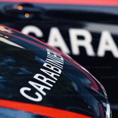 L'Arma dei Carabinieri in festa a Barletta