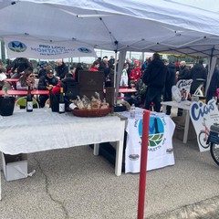 Figurine che passione fa tappa a Barletta