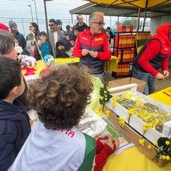 Figurine che passione fa tappa a Barletta