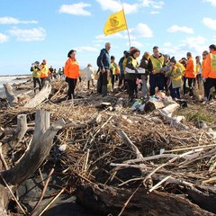 Volontari e associazioni di Barletta raccolgono rifiuti alla foce dell'Ofanto