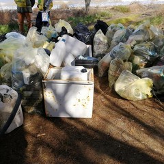 Volontari e associazioni di Barletta raccolgono rifiuti alla foce dell'Ofanto