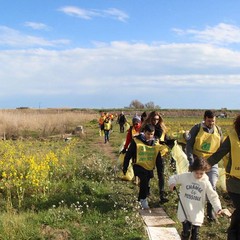 Volontari e associazioni di Barletta raccolgono rifiuti alla foce dell'Ofanto