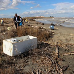 Volontari e associazioni di Barletta raccolgono rifiuti alla foce dell'Ofanto