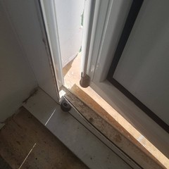 Furto nella sede dell'AVIS