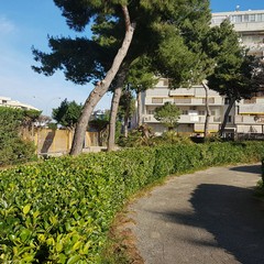 Giardino di via Dante, uno spazio verde nella 167 di Barletta