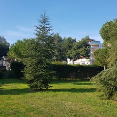 Giardino di via Dante, uno spazio verde nella 167 di Barletta