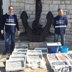 Oltre 200 kg di pesce, novellame e frutti di mare sequestrati a Barletta