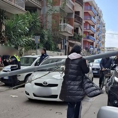 Cade un palo della luce in via Alvisi a Barletta