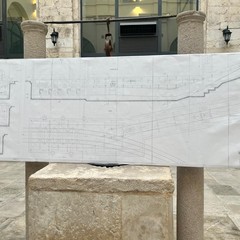 Terza edizione de “Il Cammino del Sale: una passeggiata tra Margherita e Barletta che unisce corsa e storia